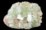 Zoned Apophyllite Crystals on Heulandite - India #135828-1